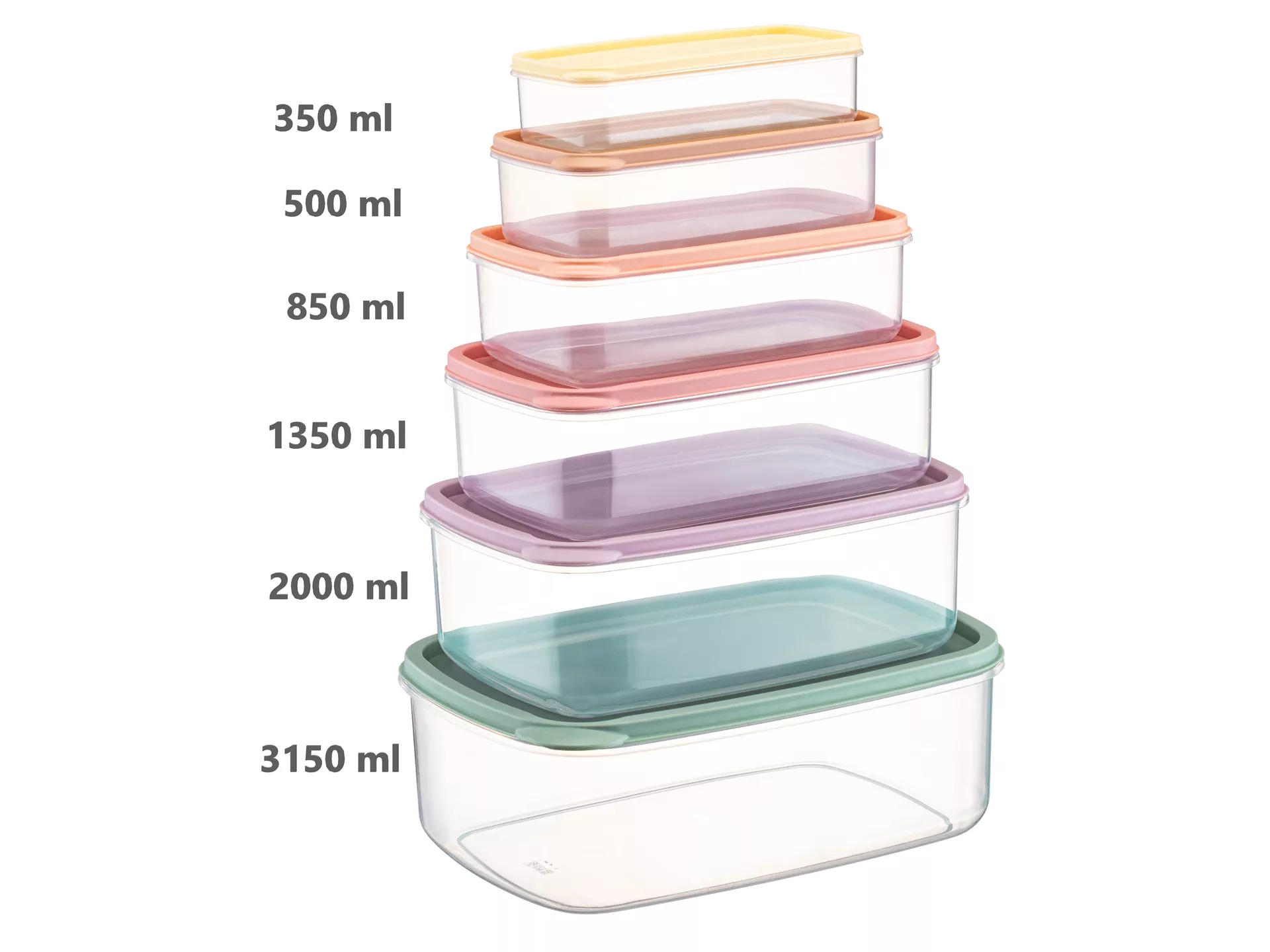 Star 6 Lı Saklama Kabı Renkli