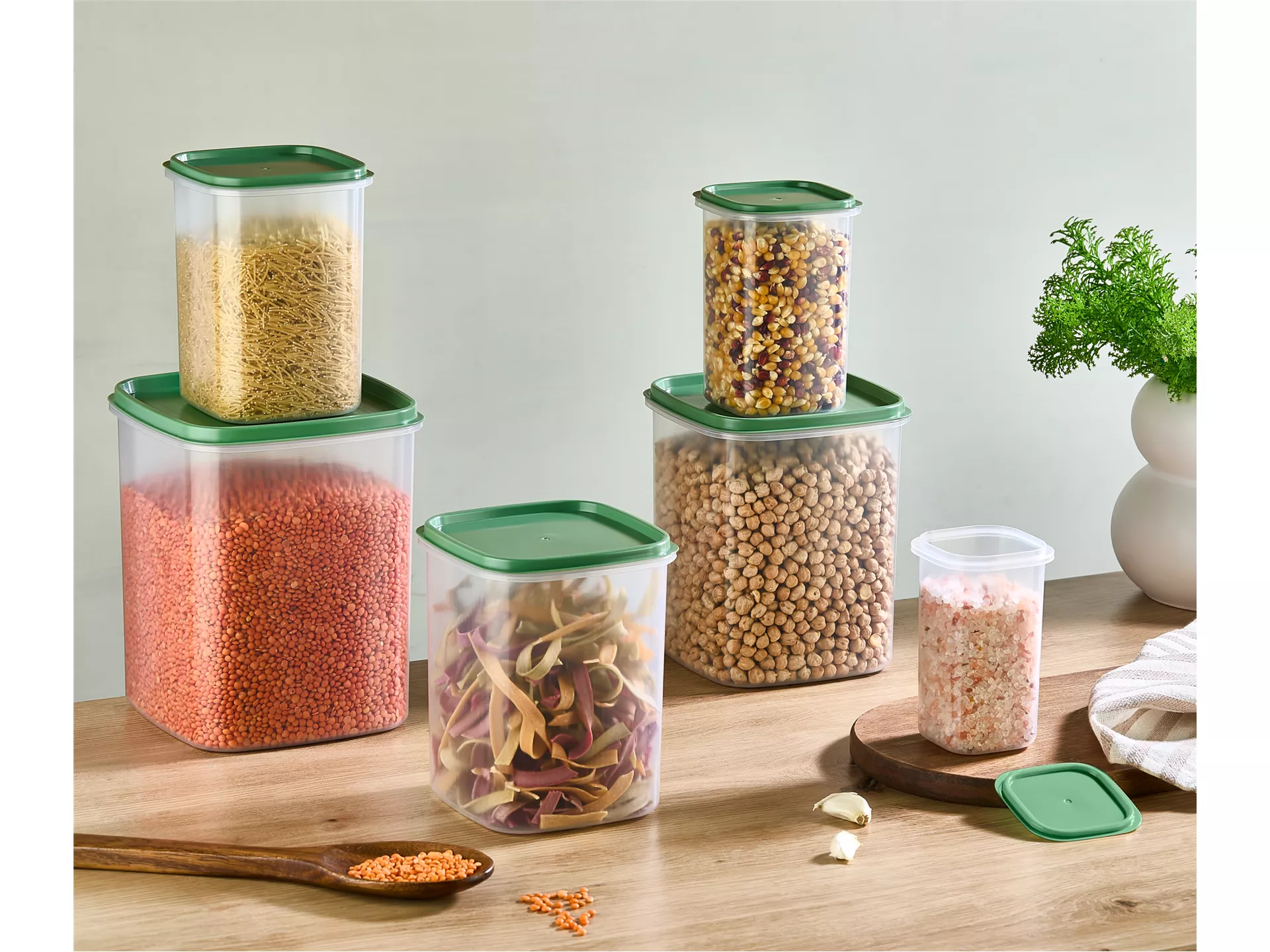 Asya 6 Lı  Dik Saklama  Kabı  Renkli