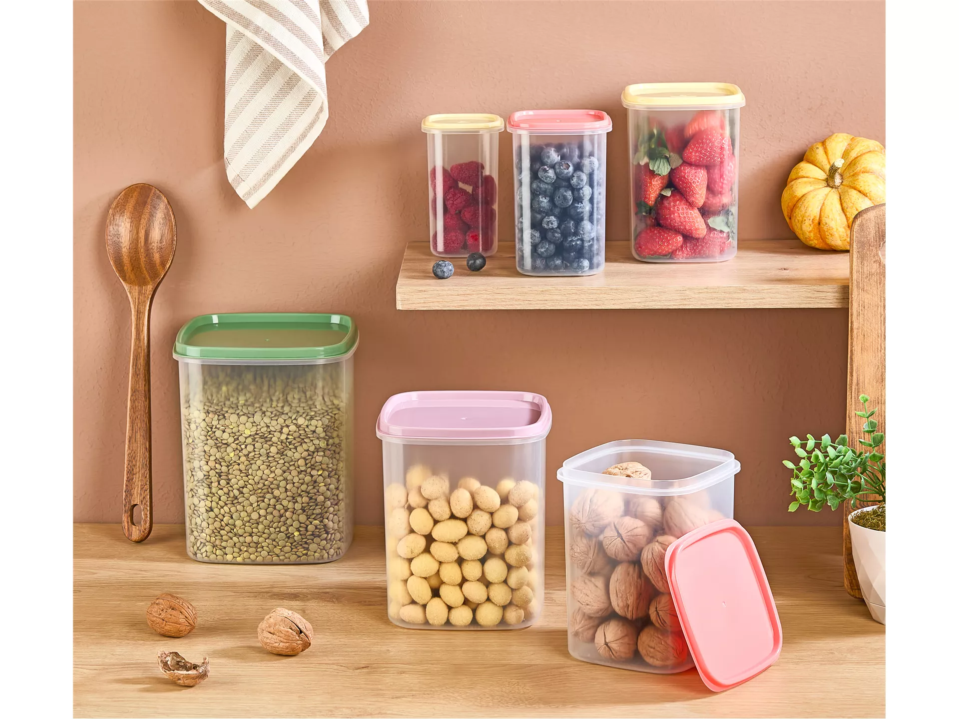 Asya 6 Lı  Dik  Saklama  Kabı