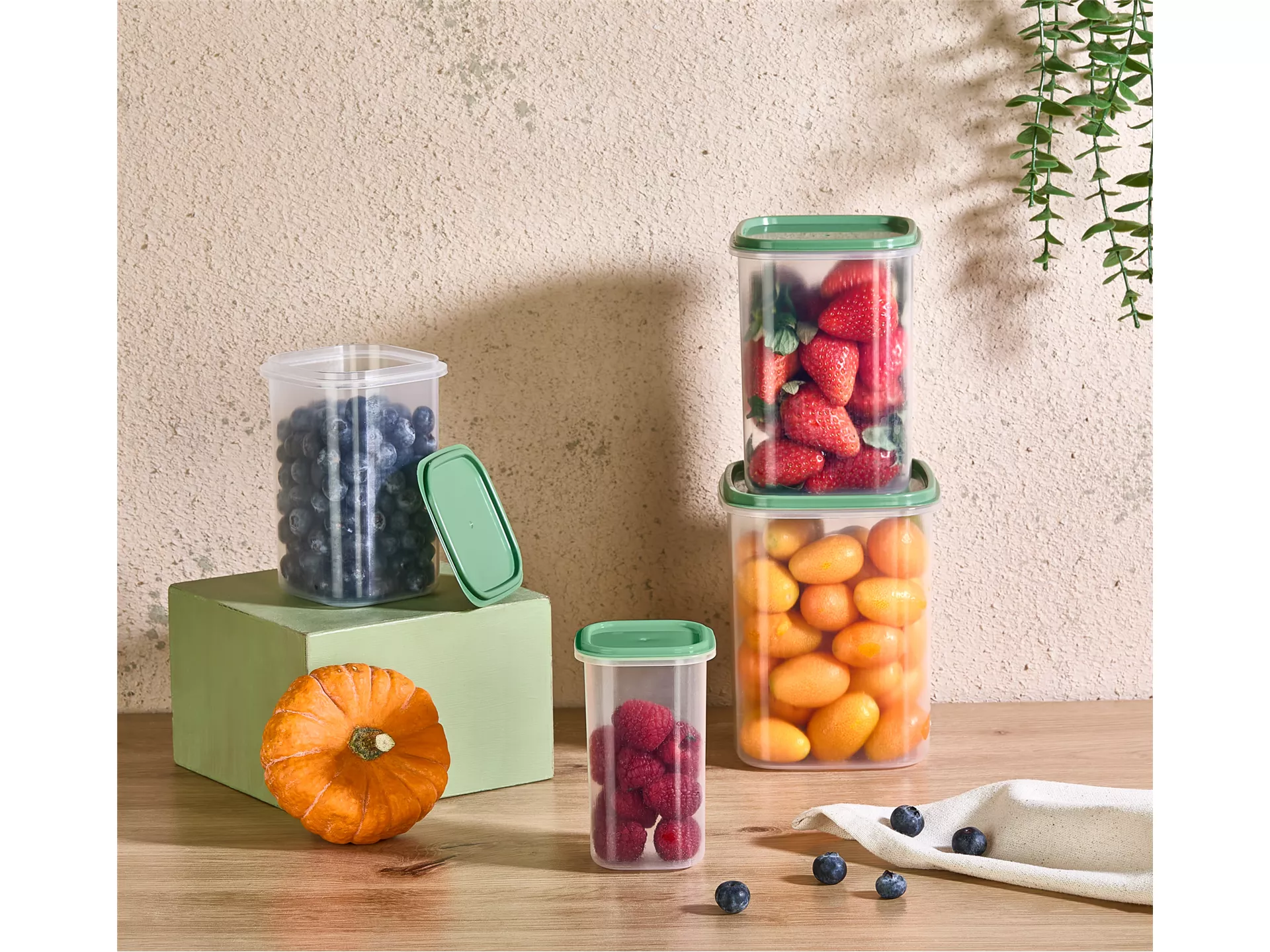 Asya 4 Lü  Dik  Saklama  Kabı