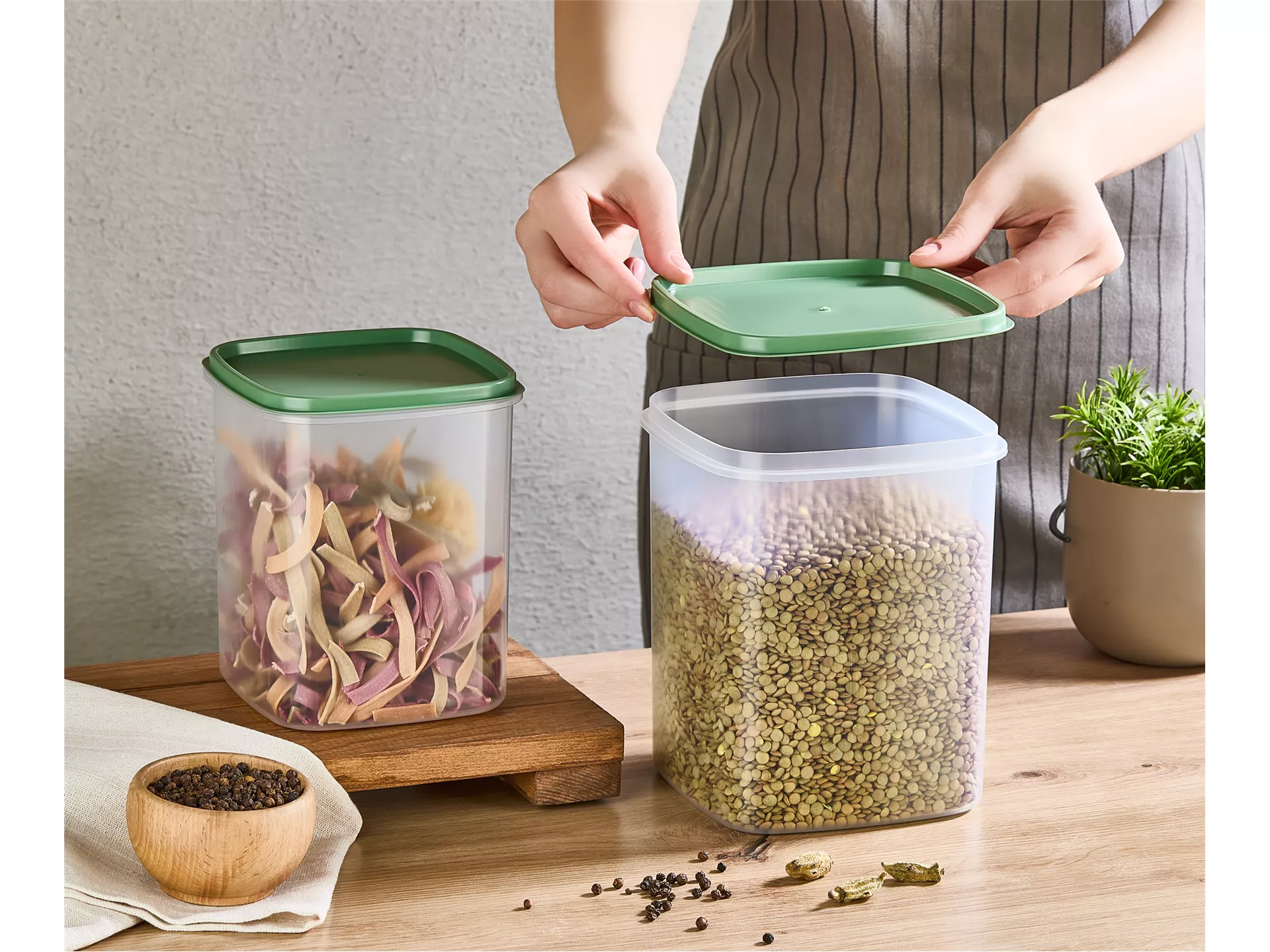 Asya 2 Li  Dik  Saklama  Kabı  Renkli