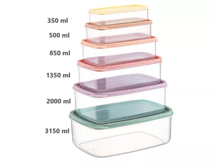 Star 6 Lı Saklama Kabı Renkli