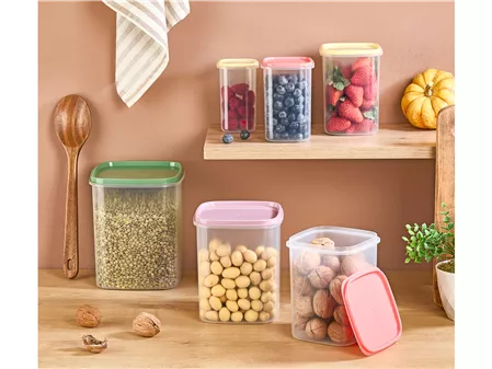 Asya 6 Lı  Dik Saklama  Kabı  Renkli