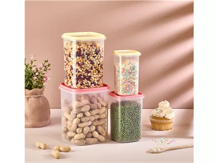 Asya 4 Lü  Dik  Saklama  Kabı  Renkli